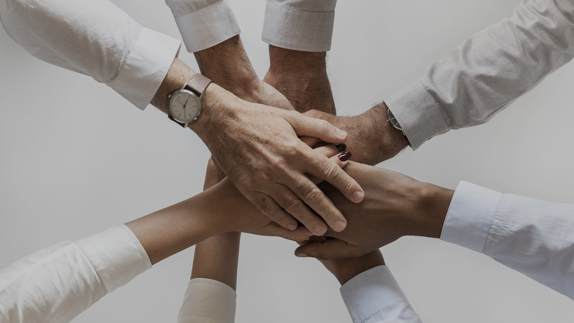 International Marketing Network